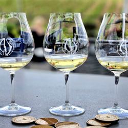 Adelsheim Vineyard