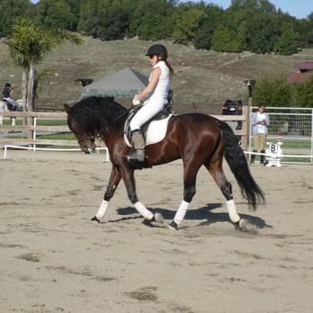 STRIDES Riding Academy - Horseback Riding Near Me STRIDES Riding Academy - Horseback Riding Near Me
