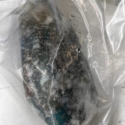 Parrot fish from the market side