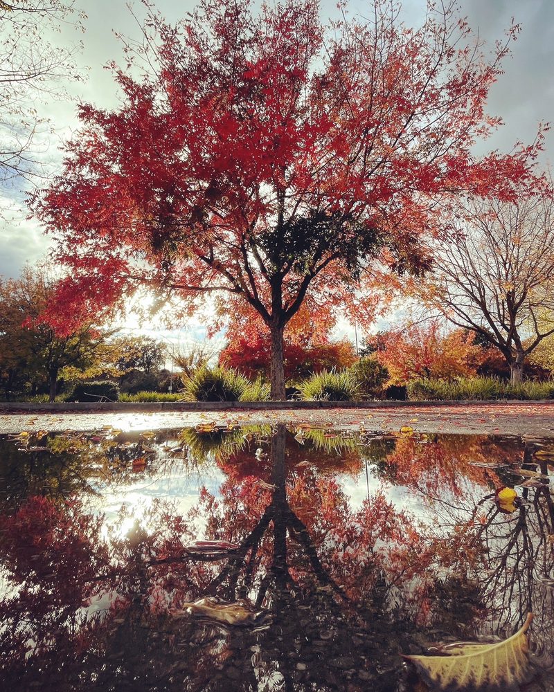 MACE PARK & RIDE Updated August 2024 2629 Co Rd 32A, Davis