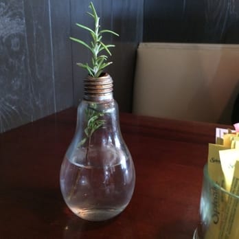 Whiskey Cake - Single Rosemary spring in old-timey lightbulb. I am not hip enough to eat here. - New American Near Me - Plano, Texas Whiskey Cake - Single Rosemary spring in old-timey lightbulb. I am not hip enough to eat here. - New American Near Me - Plano, Texas