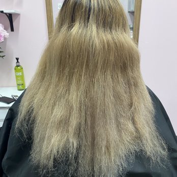 Shabby Dryer - Damaged hair (before picture) - Hair Stylists Near Me - Monrovia, California