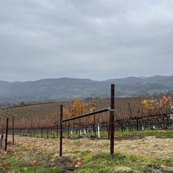 Caldwell Vineyard - Wineries Near Me - Napa, California