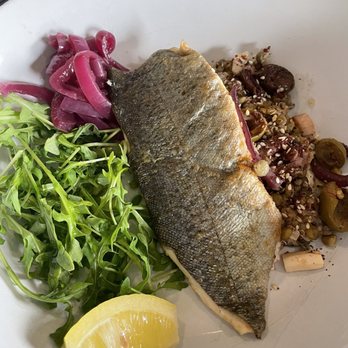 Hellbender Bed & Beverage - NC Trout (GF, DF) 18 - Hotels Near Me - Blowing Rock, North Carolina