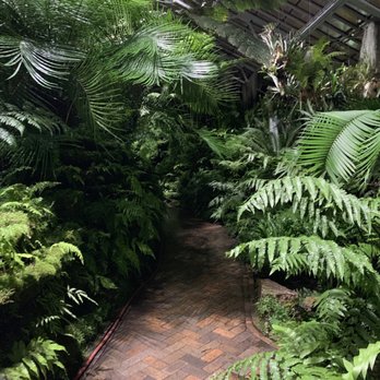 Garfield Park Conservatory - Parks Near Me - Chicago, Illinois