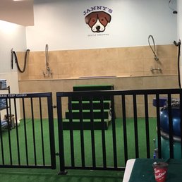 Dog wash area
