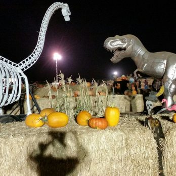 Cool Patch Pumpkins - Pumpkin Patches Near Me - Dixon, California