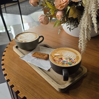 The Perfect Press Coffee - Coffee & Tea Near Me - Tampa, Florida The Perfect Press Coffee - Coffee & Tea Near Me - Tampa, Florida