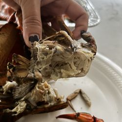 Tarpon Dock Seafood Market - The big ones w empty meat