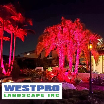 Westpro Landscape - Fuchsia palm trees in Solana Beach is just what the doctor ordered. This landscape is the product of Love, Kindness, and Friendship. Enjoy. - Landscaping Near Me Westpro Landscape - Fuchsia palm trees in Solana Beach is just what the doctor ordered. This landscape is the product of Love, Kindness, and Friendship. Enjoy. - Landscaping Near Me