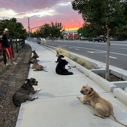 Bonnie is on the left 2nd from the top