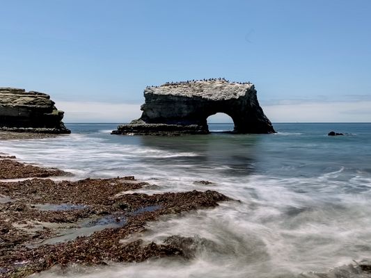 Natural Bridges State Beach by null