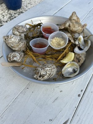 Barnegat Oyster Collective by null