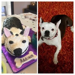 The Cake Boutique - Best Cake Ever!