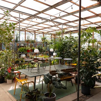 Flowerland - Nurseries & Gardening Near Me - Albany, California