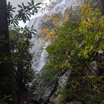 Gorges State Park - The falls through the trees - Parks Near Me - Sapphire, North Carolina Gorges State Park - The falls through the trees - Parks Near Me - Sapphire, North Carolina