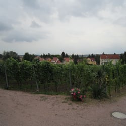 Weingut Matyas