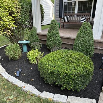 RC Tree Service & More - Trimming and mulch - Tree Services Near Me