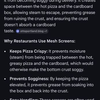 Rosati's Pizza Valrico, FL - Mesh under pizza in their take-out box, good explanation! - Pizza Near Me - Valrico, Florida