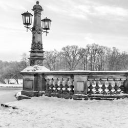Bürgerpark