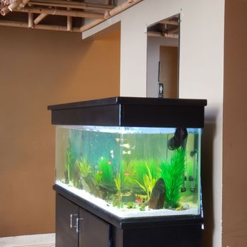 Jenny Pho - Fish tank - Vietnamese Near Me - Issaquah, Washington Jenny Pho - Fish tank - Vietnamese Near Me - Issaquah, Washington