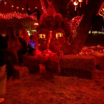 Pumpkin Nights - Dragon - Festivals Near Me - Arlington, Texas Pumpkin Nights - Dragon - Festivals Near Me - Arlington, Texas