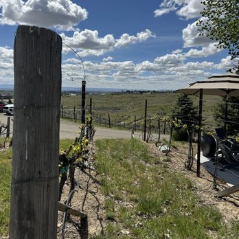 Dude DeWalts Cellars - Wine Tasting Room Near Me - Eagle, Idaho Dude DeWalts Cellars - Wine Tasting Room Near Me - Eagle, Idaho