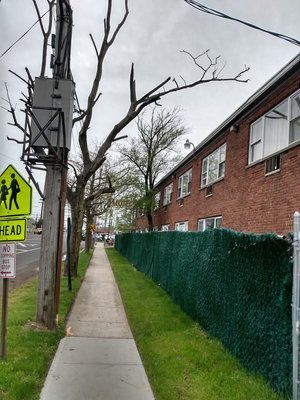 Island Motor Inn by null