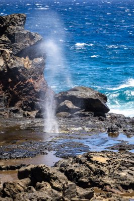 Nakalele Blowhole by null