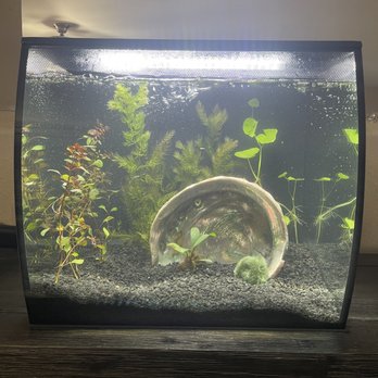 Kona Reef - Local Fish Stores Near Me - Phoenix, Arizona