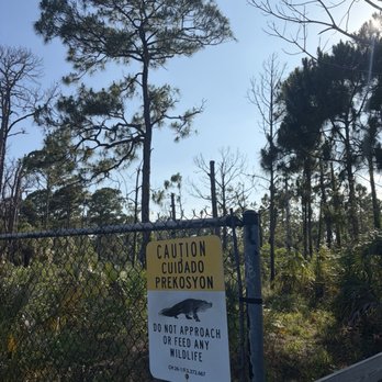 A.D. Barnes Park - Parks Near Me - Miami, Florida