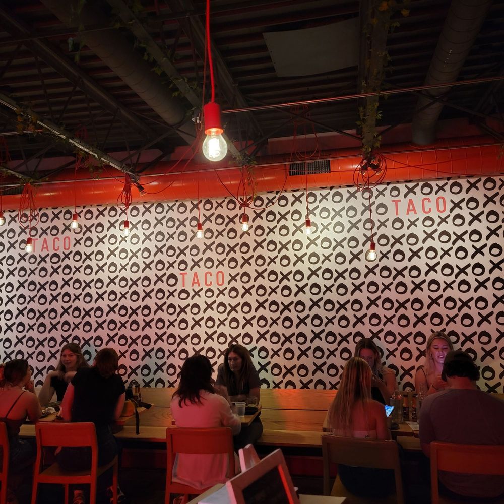 XO Taco - Tacos Near Me - Syracuse, New York XO Taco - Tacos Near Me - Syracuse, New York
