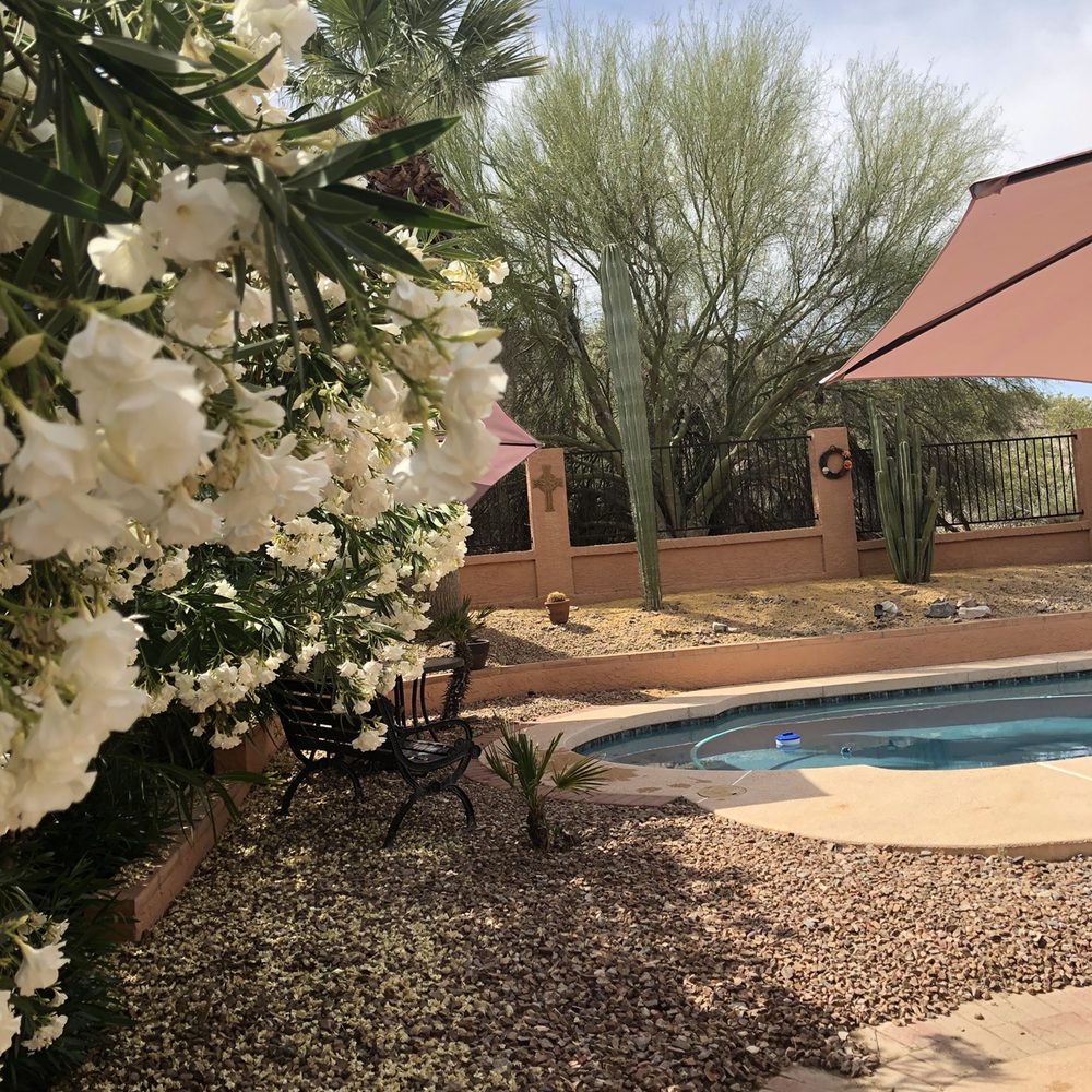 G & H Pest Control East - Hillside living requires sharing the land, but not your home, with desert creepy crawlies - Pest Control Near Me - Mesa, Arizona G & H Pest Control East - Hillside living requires sharing the land, but not your home, with desert creepy crawlies - Pest Control Near Me - Mesa, Arizona