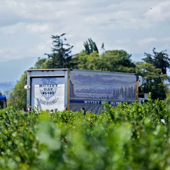 Mutiny Bay Blues - Farms Near Me - Freeland, Washington Mutiny Bay Blues - Farms Near Me - Freeland, Washington