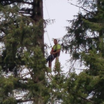 Highclimber Northwest - Tree Services Near Me