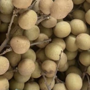 Saigon Trading - a bunch of longan fruit - Fruits & Veggies Near Me - Westminster, California