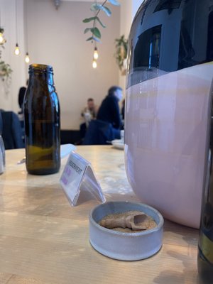 Marshall Street Coffee by null
