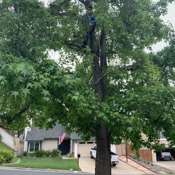 Daniel's Landscaping - Yard Maintenance
Tree Trimming
Plants & Trees
Free Estimates
Irrigation
Sprinkler Repairs
Palm Trimming
Clean-ups - Landscaping Near Me Daniel's Landscaping - Yard Maintenance
Tree Trimming
Plants & Trees
Free Estimates
Irrigation
Sprinkler Repairs
Palm Trimming
Clean-ups - Landscaping Near Me