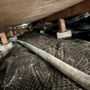 Photo of A1 Rodent Proofing and Pest Control