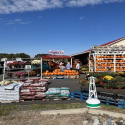 Parsons Farms Produce