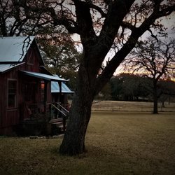 Cabins Out Back
