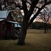 Cabins Out Back gift card