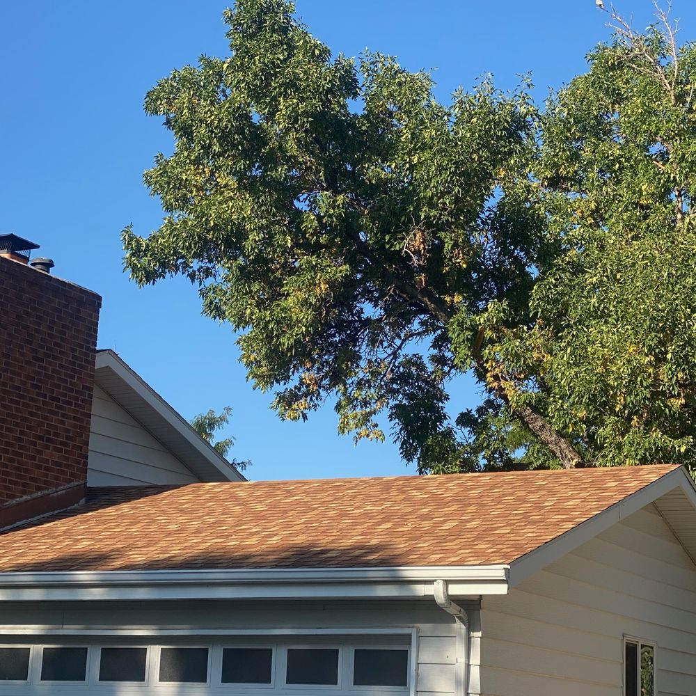 Limb Walkers Tree Service - This is the other branch we hired them to cut down. It hangs over the house. They cut down an under branch that offered privacy instead! - Tree Services Near Me - Wheat Ridge, Colorado