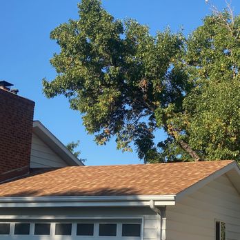 Limb Walkers Tree Service - This is the other branch we hired them to cut down. It hangs over the house. They cut down an under branch that offered privacy instead! - Tree Services Near Me - Wheat Ridge, Colorado
