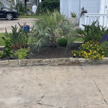 Palm Professionals Tropical Nursery - Nurseries & Gardening Near Me - La Marque, Texas Palm Professionals Tropical Nursery - Nurseries & Gardening Near Me - La Marque, Texas