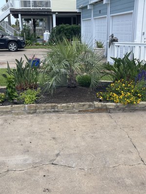 Palm Professionals Tropical Nursery, 5313 Gulf Fwy, La Marque, TX
