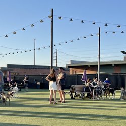 Skiptown - Patio where pet parents can let their dogs run