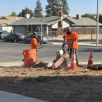 Trinity Tree Service - Stump grinding - Tree Services Near Me