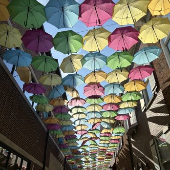 Umbrella Sky Project - Art Galleries Near Me - Elmhurst, Illinois