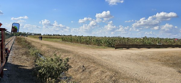 Dewberry Farm by null